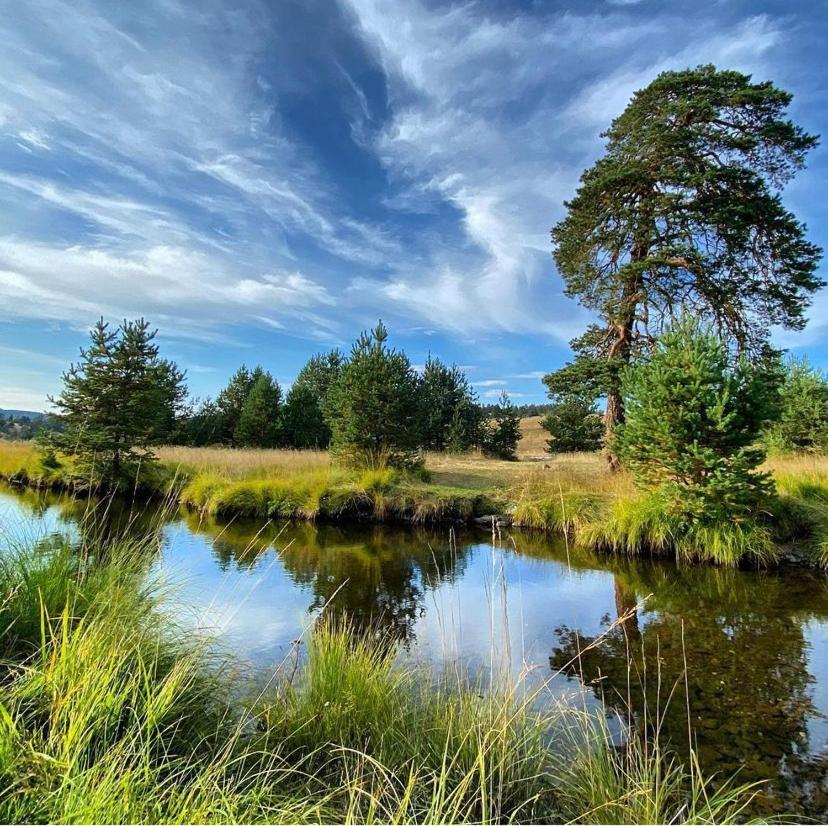 Vila Carna Zlatibor Eksteriør billede